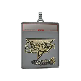 Sticker Slab | karrigan image