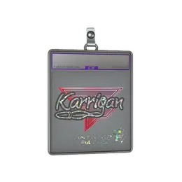 Sticker Slab | karrigan image