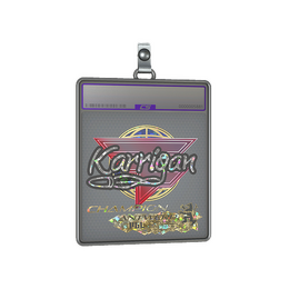 Sticker Slab | karrigan image