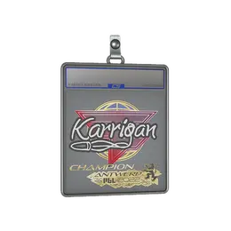 Sticker Slab | karrigan image