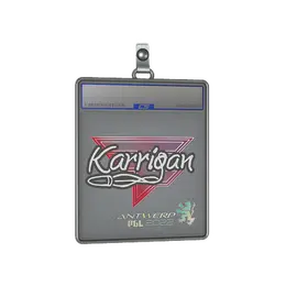 Sticker Slab | karrigan | Antwerp 2022 image