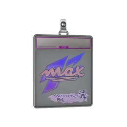 Sticker Slab | max image