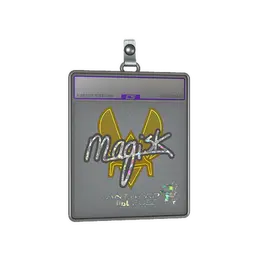 Sticker Slab | Magisk image