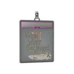 Sticker Slab | sk0R image