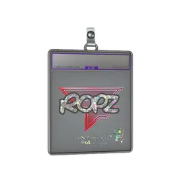 Sticker Slab | ropz image