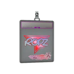 Sticker Slab | ropz image