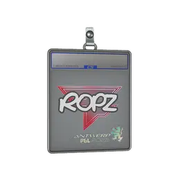 Sticker Slab | ropz | Antwerp 2022 image
