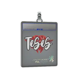 Sticker Slab | TeSeS | Antwerp 2022 image