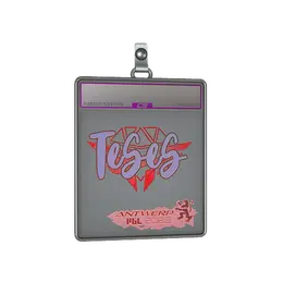 Sticker Slab | TeSeS image