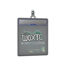Sticker Slab | woxic | Antwerp 2022 image