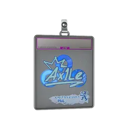Sticker Slab | Ax1Le image