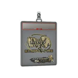Sticker Slab | Calyx image