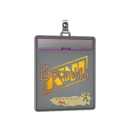 Sticker Slab | Boombl4 image