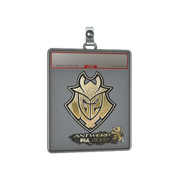 Sticker Slab | G2 Esports image