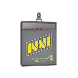 Sticker Slab | Natus Vincere image