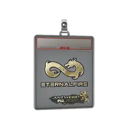 Sticker Slab | Eternal Fire image