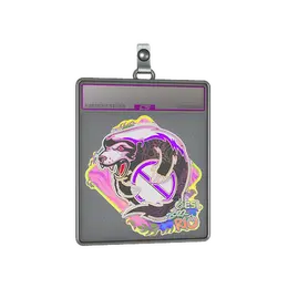 Sticker Slab | Outsiders image