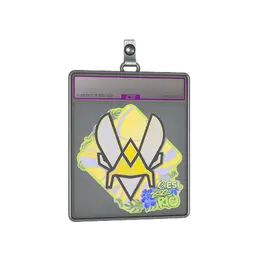 Sticker Slab | Vitality image