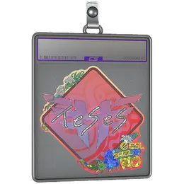 Sticker Slab | TeSeS image