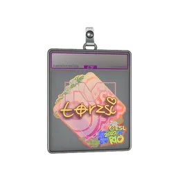 Sticker Slab | torzsi image