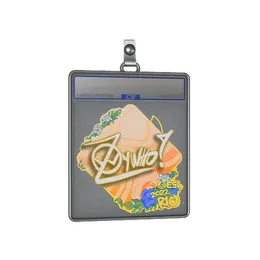 Sticker Slab | ZywOo | Rio 2022 image