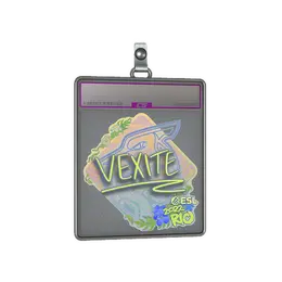 Sticker Slab | vexite image