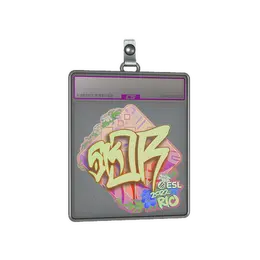 Sticker Slab | sk0R image