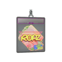 Sticker Slab | ropz image