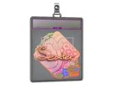 Sticker Slab | dexter image