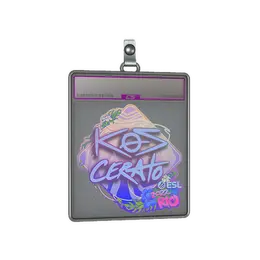 Sticker Slab | KSCERATO image