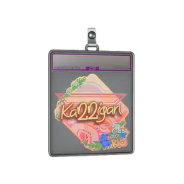 Sticker Slab | karrigan image