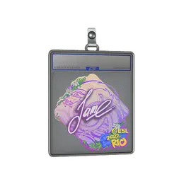Sticker Slab | Jame | Rio 2022 image