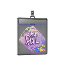 Sticker Slab | FL1T | Rio 2022 image