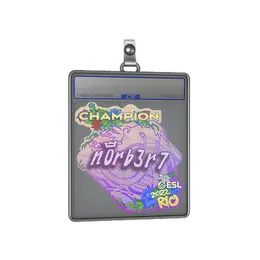 Sticker Slab | n0rb3r7 image