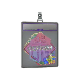 Sticker Slab | NEOFRAG image
