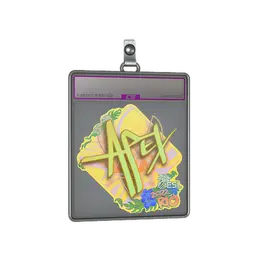 Sticker Slab | apEX image