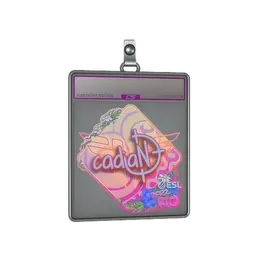 Sticker Slab | cadiaN image