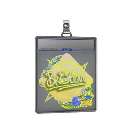 Sticker Slab | Brollan | Rio 2022 image