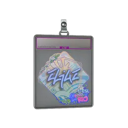 Sticker Slab | EliGE image