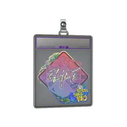 Sticker Slab | EliGE image
