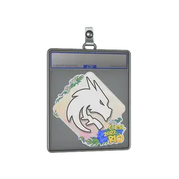 Sticker Slab | Team Spirit | Rio 2022 image