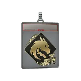 Sticker Slab | Team Spirit image