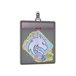 Sticker Slab | Team Spirit image