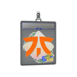 Sticker Slab | Fnatic | Rio 2022 image