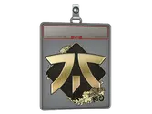 Sticker Slab | Fnatic image