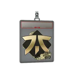 Sticker Slab | Fnatic image