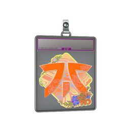 Sticker Slab | Fnatic image