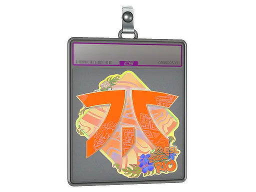 Sticker Slab | Fnatic (Holo) | Rio 2022