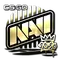 Natus Vincere (Gold) | 2020 RMR