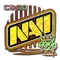 Natus Vincere (Holo) | 2020 RMR